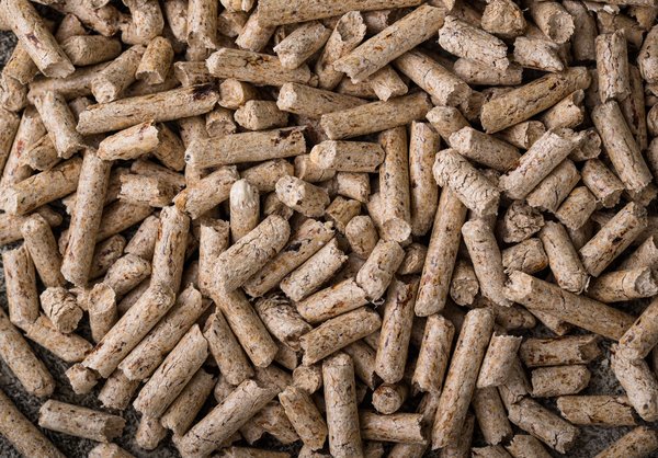 Bûches compressées : une chaleur durable et écologique